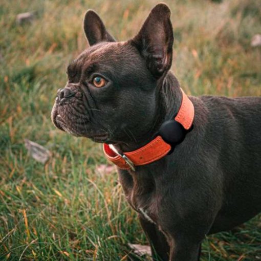 theklips-coque-apple-airtag-pour-collier-chien-chat-silicone-noir-5